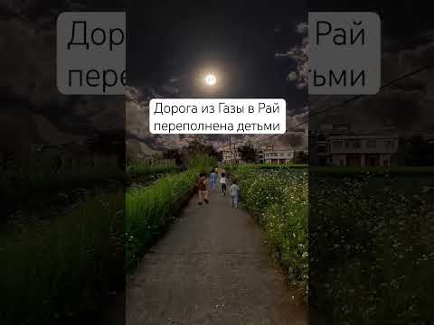Дети Газы ❤️‍🩹🥲
