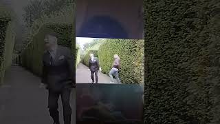 Numberjacks More 4 Intro