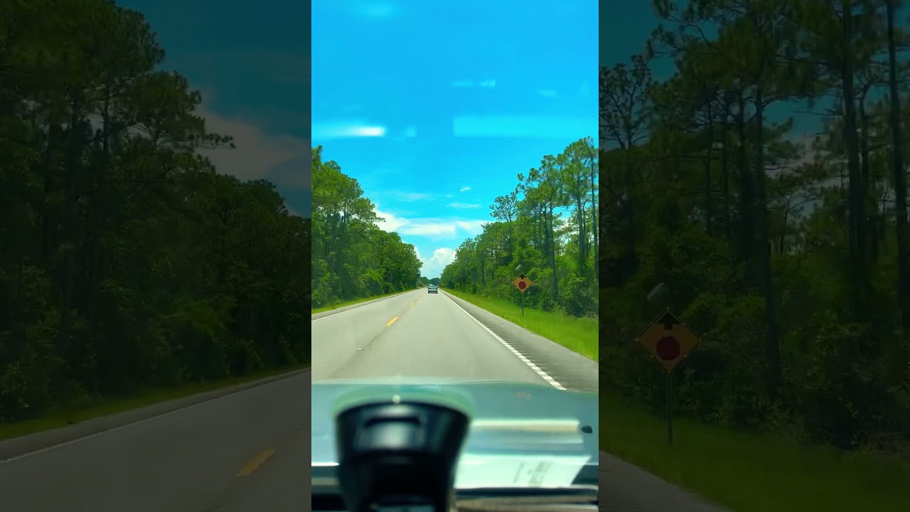 Vancleave, Mississippi entering Ocean Springs tall, pines in blue skies