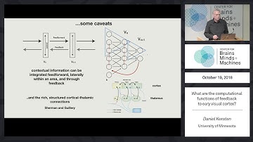 What are the computational functions of feedback to early visual cortex?