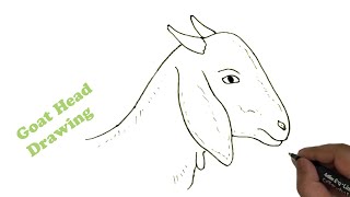 How to draw a Goat head easy and step by step