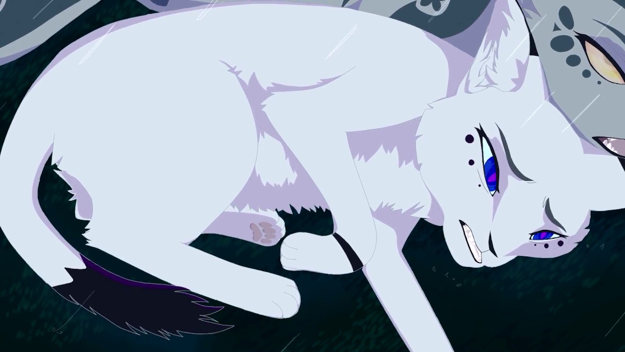 Картинки коты воители белогривка и остролап