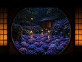 雨音と紫陽花の夜 🌧️ Moonlit Hydrangea Rain Garden | Deep Sleep