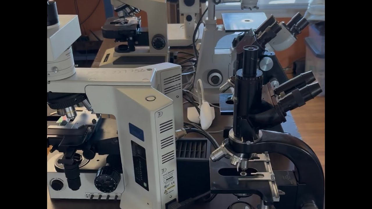 Microscope Collection June 2025