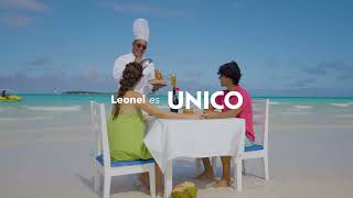 Enjoy our beaches