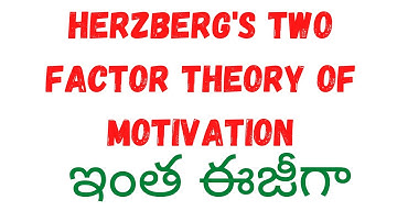 Two factor theory of motivation/Herzberg
