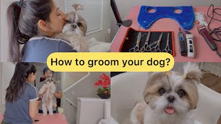 Part 1: How to start grooming your dog at home and required grooming tool (with english subtitles)
