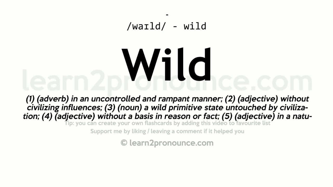 WILD meaning, definition & pronunciation, What is WILD?