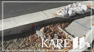 Confusion in Minneapolis over who should maintain rain gardens