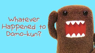 Whatever Happened to Domokun?