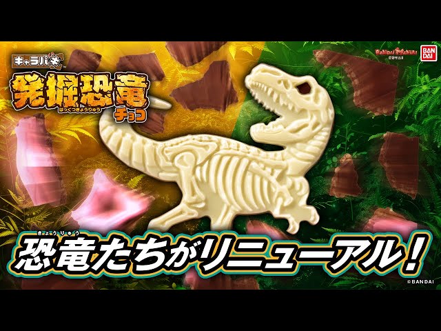 【847】プラモデル キャラパキ発掘恐竜チョコ ティラノサウルス キャラパキ発掘恐竜チョコ」5周年キャンペーン、特別仕様プラモ