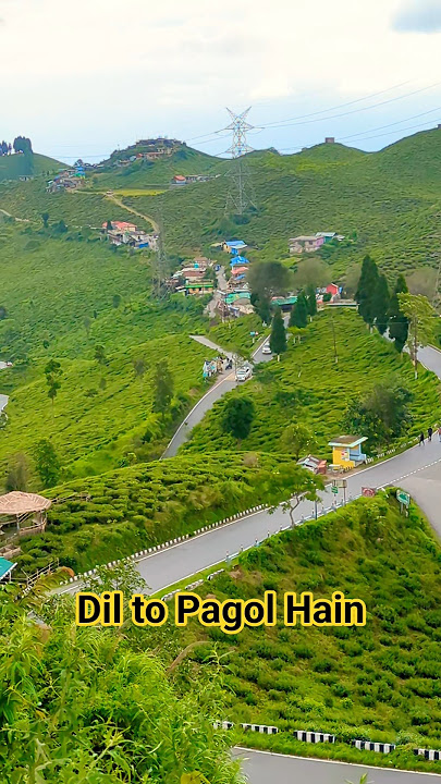 Dil to Pagol Hain