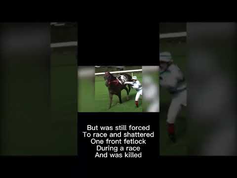 Video: Varför är inte hästkapplöpning grym?