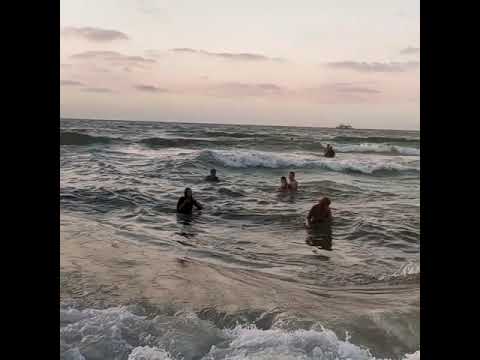 اسكندريه ا جمل بحر فى مصر