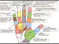 какие линии отвечают за любовь, финансы, здоровье? хиромантия