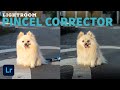 Pincel Corrector de LIGHTROOM: Aprende de forma FACIL a borrar objetos en tus fotos. #lightroom