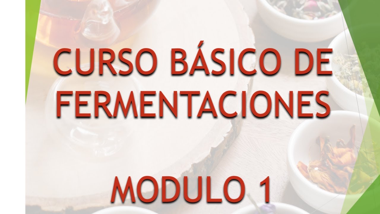 CURSO BASICO DE FERMENTACIONES MODULO 1