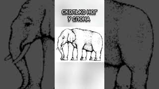 How many legs does an elephant have #funny #reels #viral #trending #тестнавнимательность #shorts