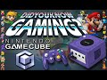 GameCube - Did You Know Gaming? Feat. SpaceHamster