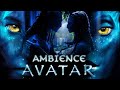 Avatar Ambient Soundscape 