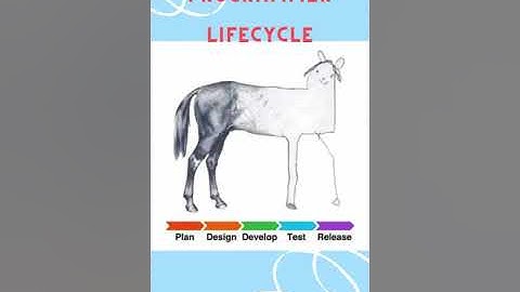 Funny Developers life cycle #shorts