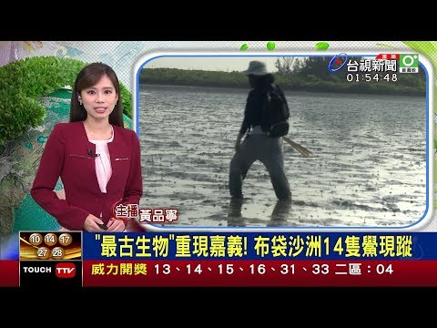 2019.10.14  台視主播 黃品寧 《2100整點新聞》 P2