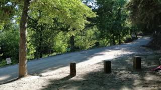 Rally Portugal Ze 24 2019