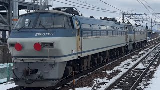 【雪と🦈重連・8865レ‼️】EF66ｰ130号機 +ﾑﾄﾞEF66ｰ125号機　@南彦根にて‼️