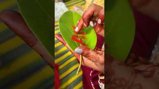 #youtube#shorts#video #vat sawitri pooja