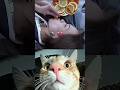 🤣 #funny #shorts #viral