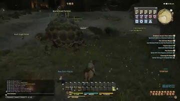 Guy Caught Speed/Mine Hacking for Final Fantasy 14