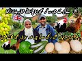 MY UNCLE'S HOBBIES FROM PAKISTAN TO UK 🇬🇧 | Breeds Chickens And Grows Vegetables | Desi Jatt UK