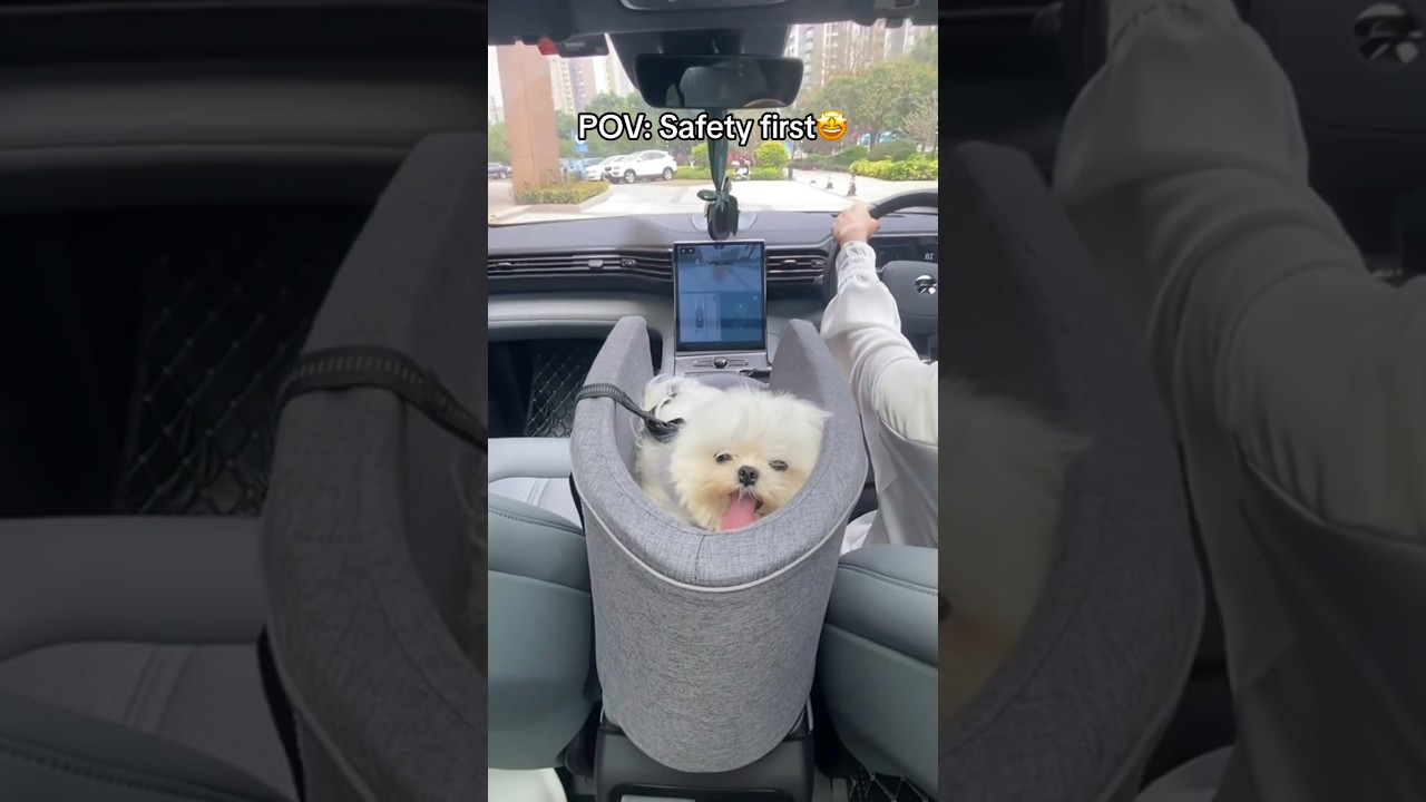 Free Worldwide Shipping 🌎 Get Yours today!Shop Link in bio 