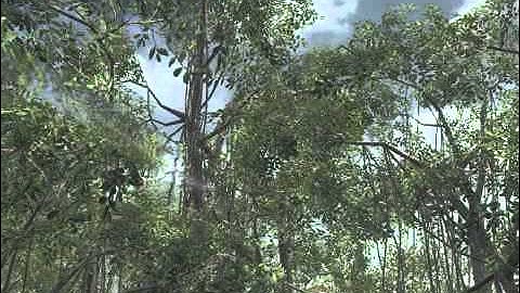 Call of Duty Black Ops Spawn Tomahawk Kill on Jungle