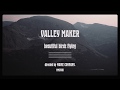 Valley maker  beautiful birds flying official