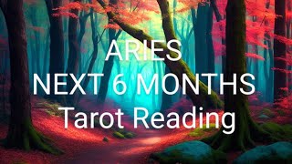 ARIES ACHIEVING ABSOLUTE BLISS NEXT 6 MONTHS Tarot Reading