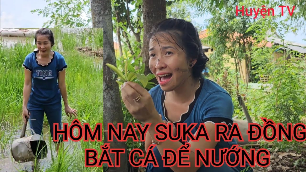 SUKA HÔM NAY RA ĐỒNG BẮT CÁ ĐỂ NƯỚNG