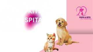 Famous Trusted Animal Hospital in Kolkata – 24/7 Pet Care Wealth
