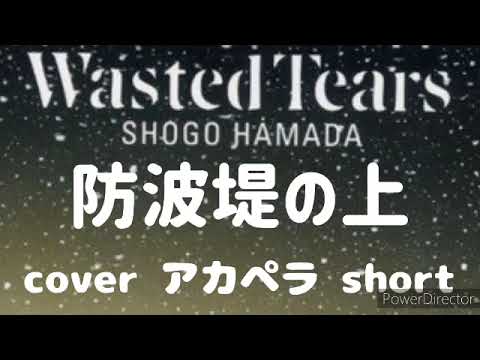 浜田省吾さん Wasted Tears ラスト 防波堤の上 cover アカペラ short テスト