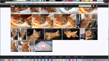 Flickr uploading and creating an album