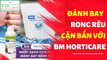 BM Horticare - Hóa Chất Xử Lý Rong Rêu, Cặn Bẩn Trong Hệ Thống Tưới, Trồng Rau Thủy Sinh