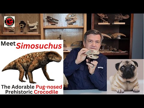 Simosuchus: The Adorable Pug-nosed Armored Crocodile