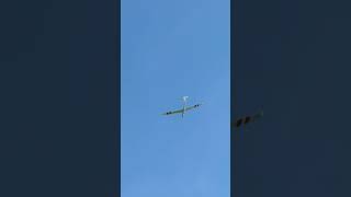 Glider - I am just testing the "edit into a short" facility