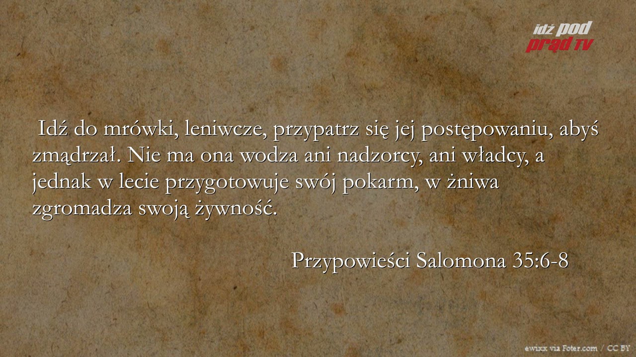 BIBLIA NA CO DZIEŃ: Przypowieści Salomona #6 cz.1 episode artwork