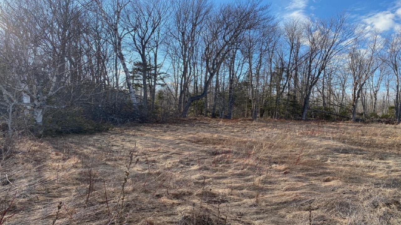 1198 Mount Tryon Road, Mount Tryon, PE Presented by MR Real Estate PEI-Chris Weir.