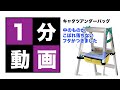 キャタツアンダーバッグ（フタ付）　KB-30F-YL　KB-30F-BK