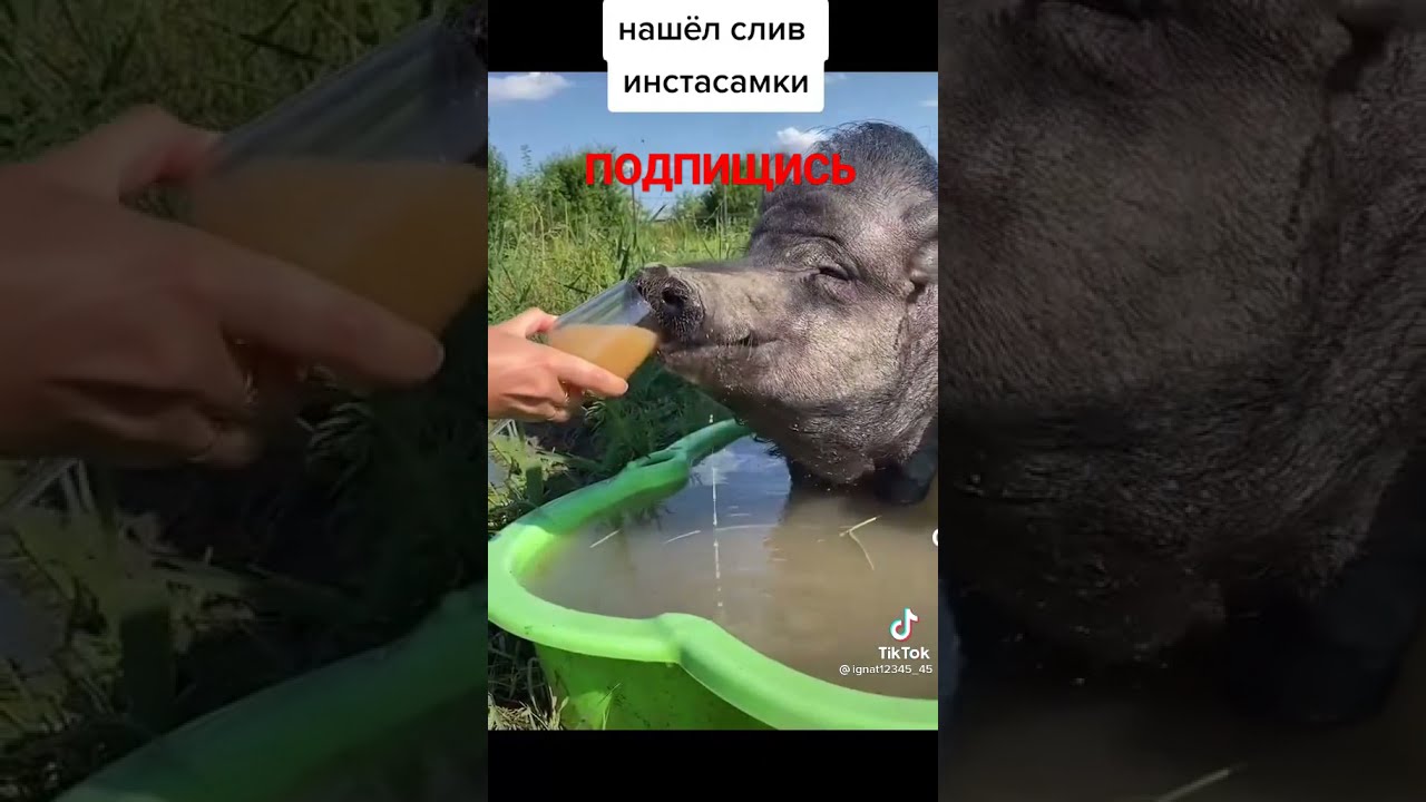 Слив Инстасамки И Олега Фото
