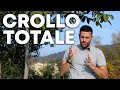 Sono SERIAMENTE preoccupato!