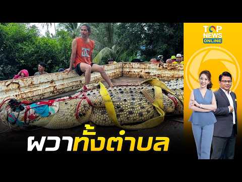 ระทึกทั้งตำบล ชาวบ้านลุ้นเคลื่อนย้าย "เจ้าเนื้อทอง" จระเข้ยักษ์หนักกว่า 400 กิโลกรัม หนีน้ำท่วม