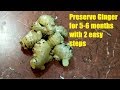Ginger Preserve | 2 Easy Steps to keep ginger good for long time | Keep Ginger fresh for long